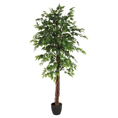 Ficus artificial "artifices" verde, h.180 cm