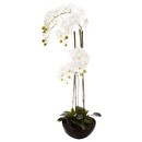 Orqu&iacute;dea artificial Maceta de cer&aacute;mica, H.115 cm Blanco