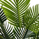 Palmera artificial Maceta de cerámica, H.72 cm Blanco