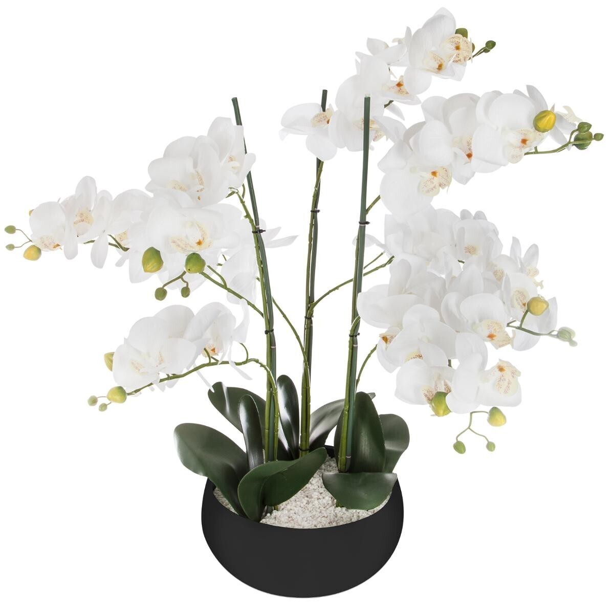 Orquídea artificial en maceta "Orquídea" Maceta de cerámica, Negro, H.65 cm Negro
