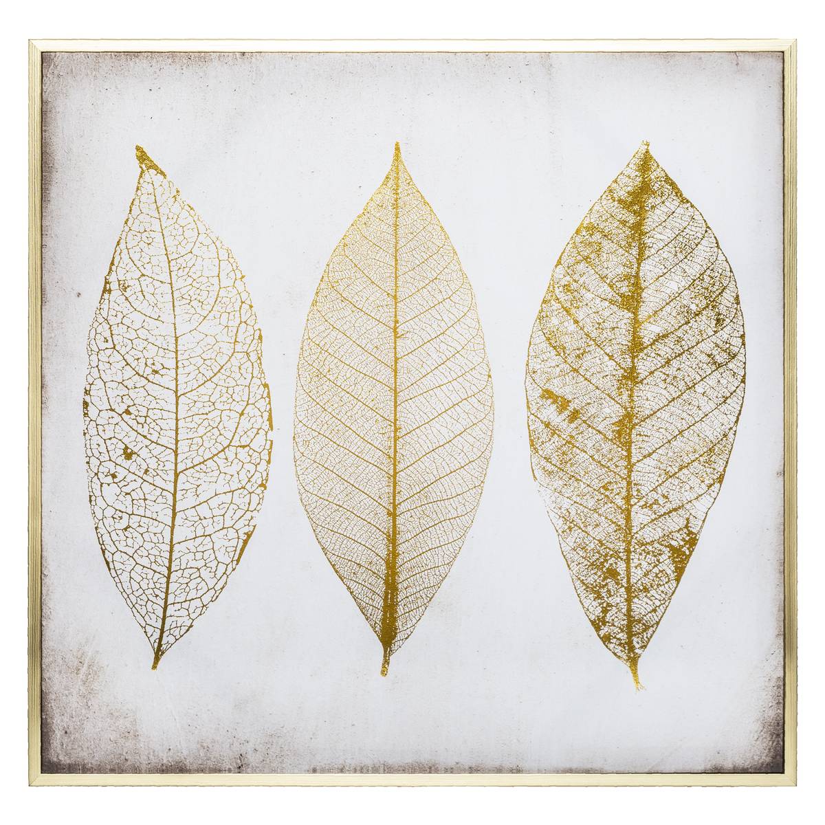 Lienzo enmarcado 'Pluma' 58x58 cm Oro