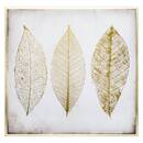 Lienzo enmarcado 'Pluma' 58x58 cm Oro
