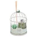 Caja de regalo jaula "Zen" Eucalipto, D.14 cm Eucalipto