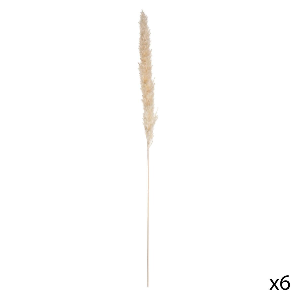 Juego de 6 flores secas "Pampa natural" Blanco marfil, H.65 cm Blanco marfil