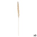 Juego de 6 flores secas "Pampa natural" Blanco marfil, H.65 cm Blanco marfil