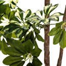 Schefflera artificial H.130 cm Verde