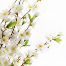 Cerezo blanco artificial H.100 cm Blanco