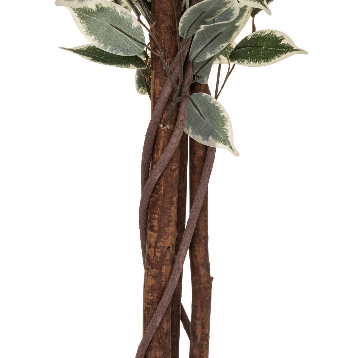 Ficus artificial "Artifices"