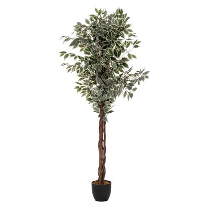 Ficus artificial "artifices" verde oscuro, h.180 cm
