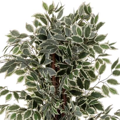 Ficus artificial "artifices" verde oscuro, h.180 cm