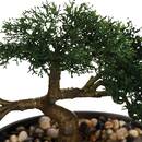 Bons&aacute;i artificial Maceta de cer&aacute;mica, H.23 cm Negro