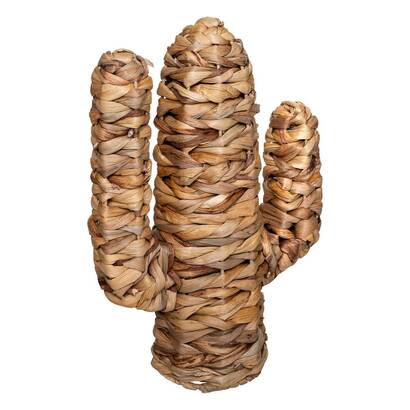 Cactus "haci" h.35 cm