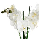 Orquídea artificial Jarrón de cerámica, Negro, H.53 cm Negro
