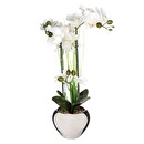 Orquídea artificial Jarrón de cerámica, Plata, H.53 cm Plata