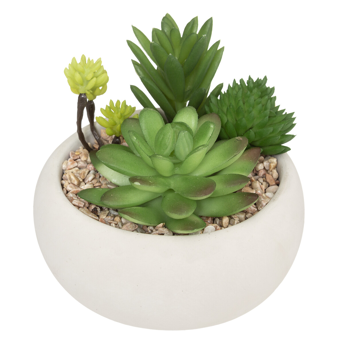 Suculenta Artificial H.10 cm Modelo 1
