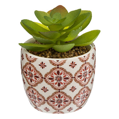 Plantas, jarrones todos los productos