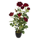 Rosal artificial H.74 cm Blanco