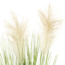 Planta Artificial "Plumero" H.70 cm Beige