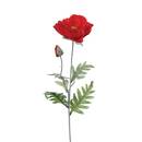 Tallo de amapola artificial Rojo, 70 cm Rojo
