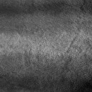 Manta "Grizzli" piel sint&eacute;tica Gris, 180x230 cm Gris