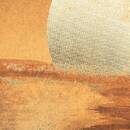 Lienzo enmarcado "Sol" 60x90 cm Beige