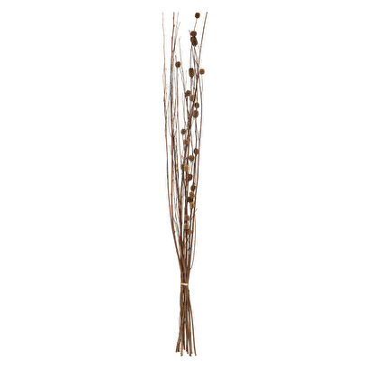 Plantas, jarrones Flores secas