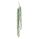 Planta artificial colgante de Senecon H.37 cm Verde