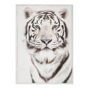 Lienzo enmarcado 'Animales' Negro y blanco, 50x70 cm Blanco y negro