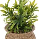 Planta artificial Maceta de junco, H.20 cm Beige