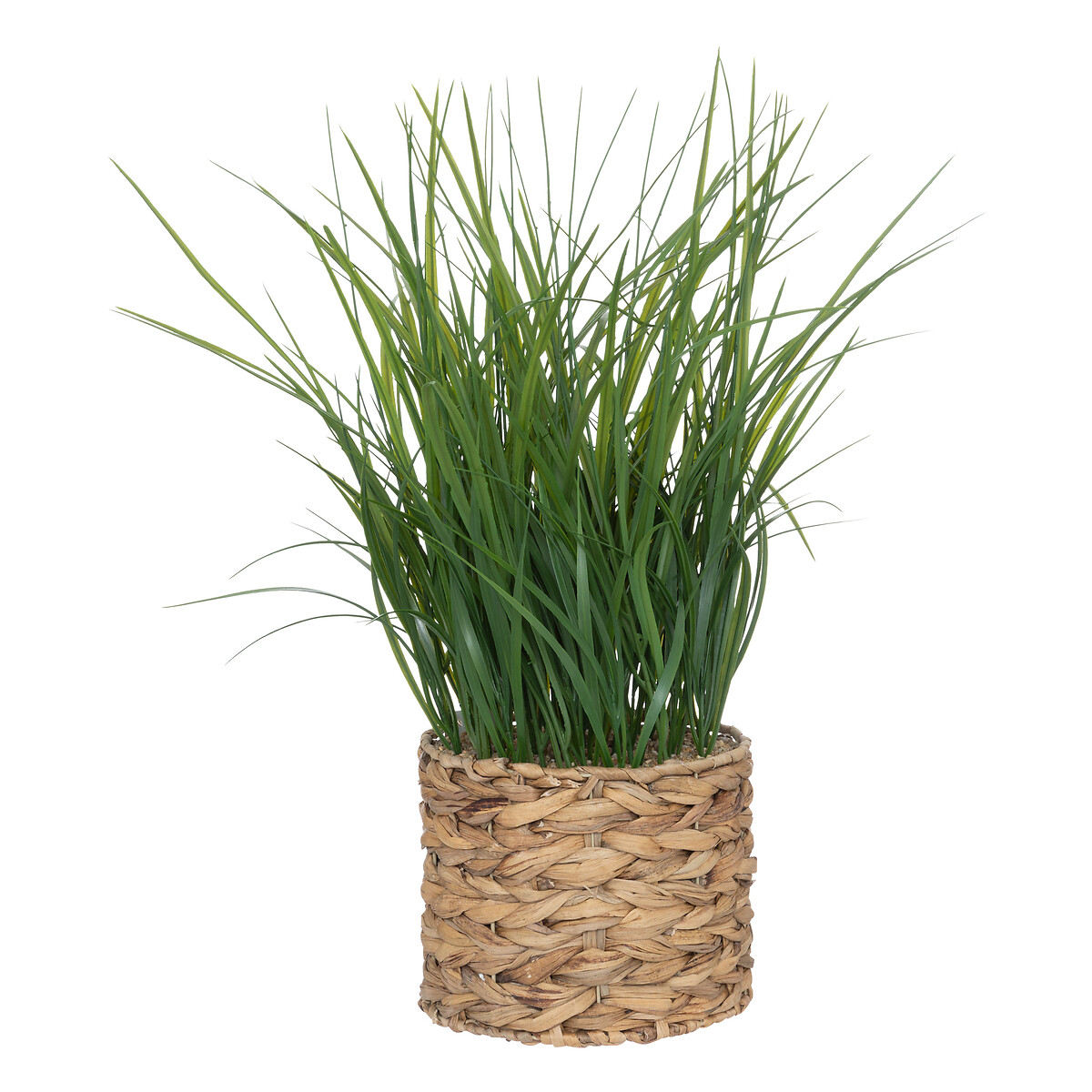 Planta artificial H.70 cm Beige