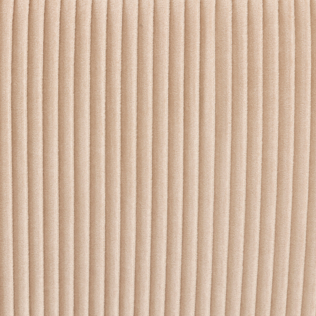 Banco baúl de terciopelo "Solaro" Beige, 100x40 cm Beige