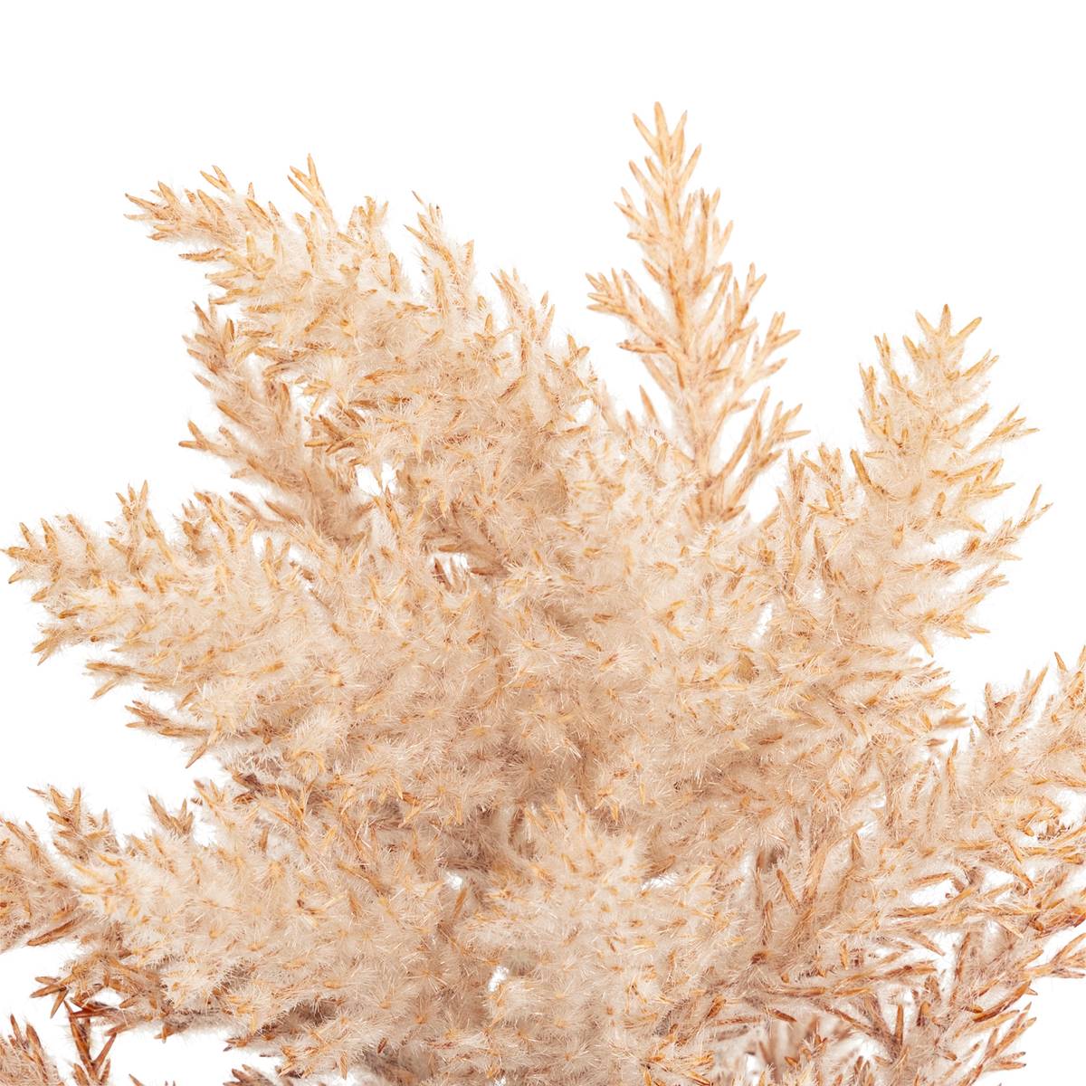 Tallo congelado artificial "James" H.40 cm Beige