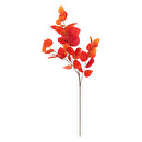 Tallo de eucalipto artificial "James" Rojo, H.97 cm Rojo