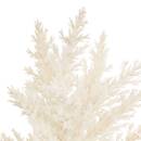 Tallo congelado artificial "James" H.40 cm Beige