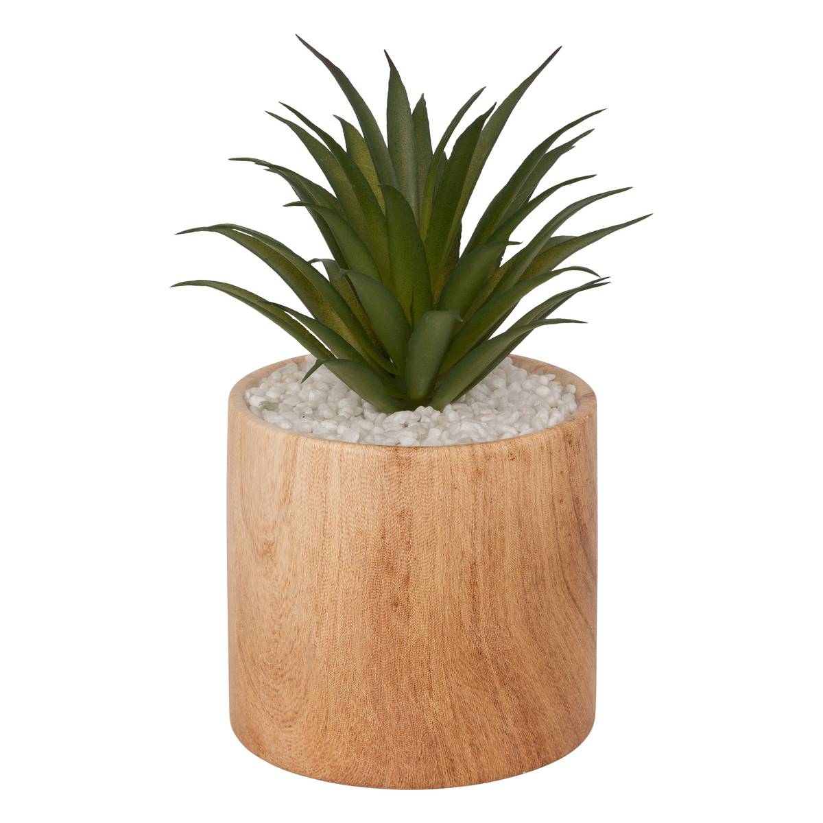 Planta artificial "Sao" Marrón, H. 17 cm Marrón