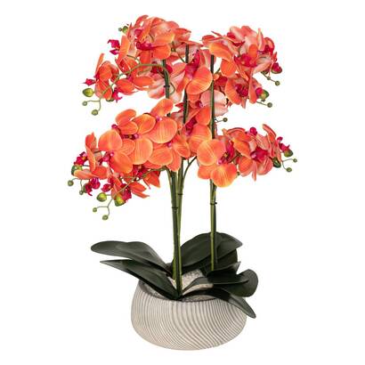 Orqu&iacute;dea artificial en maceta "sanae" maceta de cemento, naranja, h.65 cm