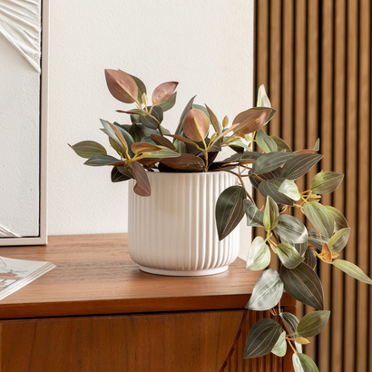 Plantas, jarrones Macetas de flores