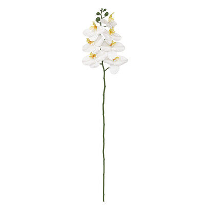 Plantas, jarrones Flores artificiales