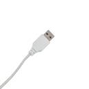 Neón de pared LED "Good Vibes" Rosa, L. 40,5 cm Rosa