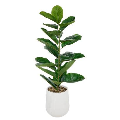 Ficus artificial en maceta "sky" h.145 cm