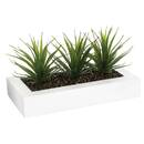 Centre de table 3 aloe vera artificielle Plantes, vases Plantes artificielles