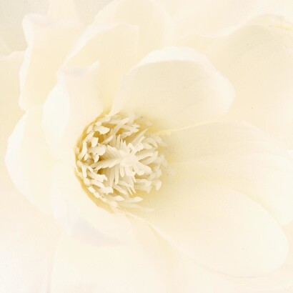 Branches de magnolia, vase plantes, vases fleurs artificielles