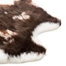 Tapis Vache Tapis Tapis rectangulaire