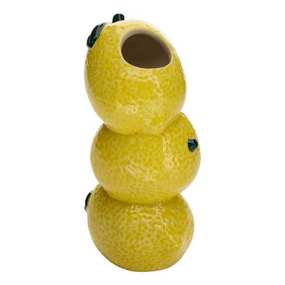 Vase fruity plantes, vases vases