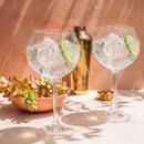 Lot de 6 verres à gin Stella Verres, carafes Verres apéritif