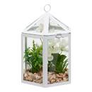 Terrarium Fleur de rose Plantes, vases Plantes artificielles