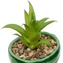 Plante artificielle Fruity Plantes, vases Plantes artificielles