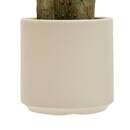 Plante artificielle en pot Lora Plantes, vases Plantes artificielles