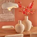 Vase Ted Plantes, vases Vases