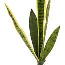 Fleur artificielle Nippon Line Plantes, vases Fleurs artificielles